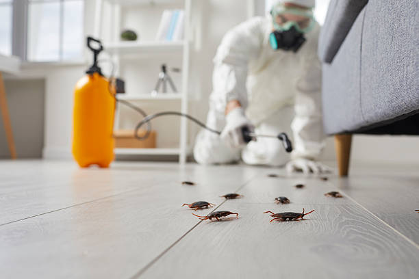 Commercial Kitchen Cockroach Control in White Hall
